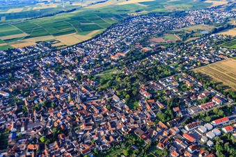 Vue aérienne de Vue du nord à le quartier Nieder-Saulheim in Saulheim dans le département Rhénanie-Palatinat, Allemagne
