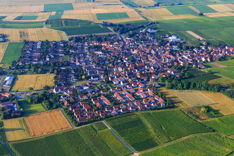 Vue aérienne de Vue du village depuis le nord à Udenheim dans le département Rhénanie-Palatinat, Allemagne