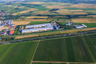Saulheim dans le département Rhénanie-Palatinat, Allemagne d'en haut