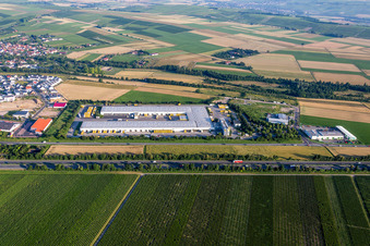 Vue aérienne de Complexe immobilier et terrain du centre logistique DHL à le quartier Nieder-Saulheim in Saulheim dans le département Rhénanie-Palatinat, Allemagne