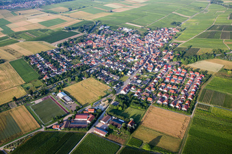 Vue aérienne de Champs agricoles et terres agricoles à Udenheim dans le département Rhénanie-Palatinat, Allemagne