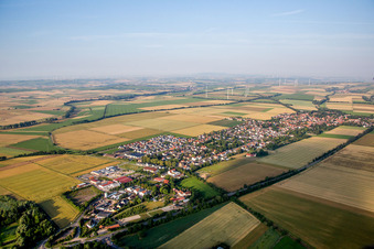 Vue aérienne de Champs agricoles et terres agricoles à Undenheim dans le département Rhénanie-Palatinat, Allemagne