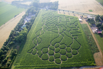 Vue aérienne de Labyrinthe - Labyrinthe avec le contour d'un raisin dans un champ du quartier de Wahlheimer Hof à Dalheim dans le département Rhénanie-Palatinat, Allemagne