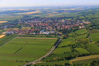 Vue aérienne de Vue du nord à Guntersblum dans le département Rhénanie-Palatinat, Allemagne