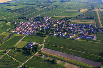 Vue aérienne de Village viticole entre les vignobles du sud-est à Ludwigshöhe dans le département Rhénanie-Palatinat, Allemagne