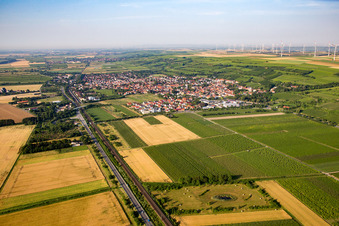 Vue aérienne de Guntersblum dans le département Rhénanie-Palatinat, Allemagne
