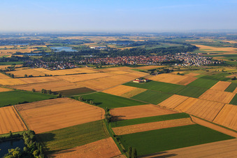 Vue aérienne de Vue du nord à Gimbsheim dans le département Rhénanie-Palatinat, Allemagne