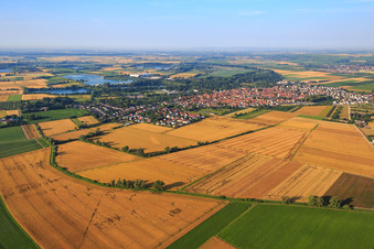 Vue aérienne de Vue du Gimbsheimer Altrhein depuis le nord à Gimbsheim dans le département Rhénanie-Palatinat, Allemagne