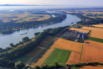 Vue aérienne de Usine d'engrais hego GmbH sur le barrage du Rhin à Gimbsheim dans le département Rhénanie-Palatinat, Allemagne