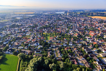 Vue aérienne de Langwattstr à Biebesheim am Rhein dans le département Hesse, Allemagne