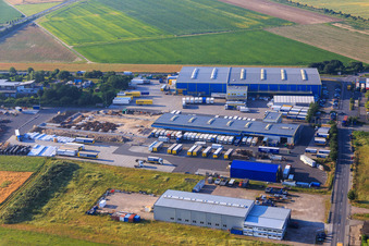Vue aérienne de Hofmann International Shipping GmbH à Biebesheim am Rhein dans le département Hesse, Allemagne