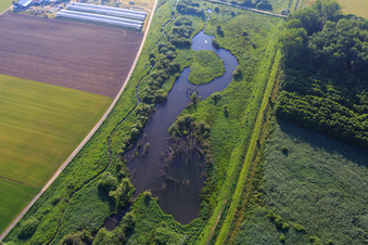 Vue aérienne de Biotope de Zehntbach à Bickenbach dans le département Hesse, Allemagne