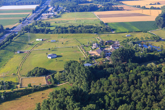 Vue aérienne de Élevage de loups à Bickenbach dans le département Hesse, Allemagne