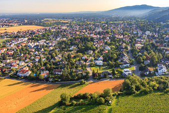 Vue aérienne de Im Kießling x Jahnstr à le quartier Alsbach in Alsbach-Hähnlein dans le département Hesse, Allemagne