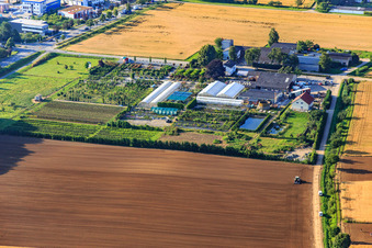 Image drone de Zwingenberg dans le département Hesse, Allemagne