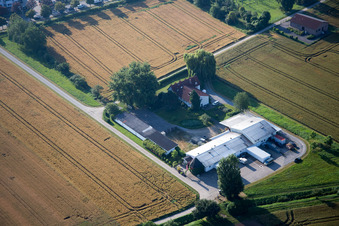 Vue d'oiseau de Quartier Auerbach in Bensheim dans le département Hesse, Allemagne