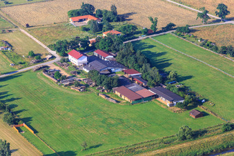 Vue aérienne de En extérieur avec thérapie ostéopathique équine et canine, communication animale à Einhausen dans le département Hesse, Allemagne