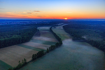 Vue oblique de Lever de soleil dans l'Otterbachtal avec brume matinale à Kandel dans le département Rhénanie-Palatinat, Allemagne