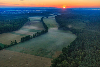 Lever de soleil dans l'Otterbachtal avec brume matinale à Kandel dans le département Rhénanie-Palatinat, Allemagne vue d'en haut