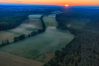 Lever de soleil dans l'Otterbachtal avec brume matinale à Kandel dans le département Rhénanie-Palatinat, Allemagne depuis l'avion