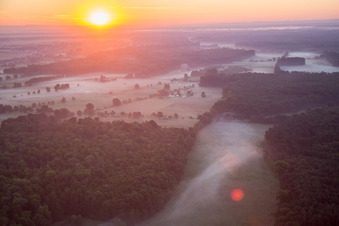 Vue aérienne de Lever de soleil dans la brume matinale sur le paysage de plaine de Bruchbach-Otterbach à Kandel dans le département Rhénanie-Palatinat, Allemagne
