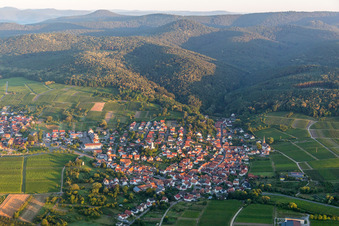 Vue aérienne de Vignobles et forêt en Rechtenbach à le quartier Rechtenbach in Schweigen-Rechtenbach dans le département Rhénanie-Palatinat, Allemagne
