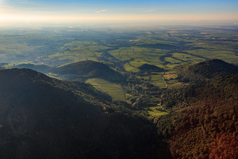 Vue aérienne de Vignobles du Ranschbachtal vus de l'ouest à Ranschbach dans le département Rhénanie-Palatinat, Allemagne