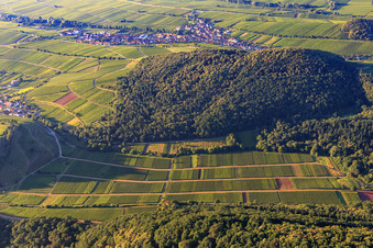 Vue aérienne de Vignobles du Ranschbachtal vus du nord à Birkweiler dans le département Rhénanie-Palatinat, Allemagne
