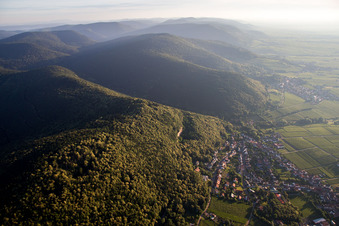 Vue aérienne de Vignes au bord du Haardt à Frankweiler dans le département Rhénanie-Palatinat, Allemagne