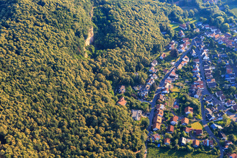 Vue aérienne de Ringeslbergstr à Frankweiler dans le département Rhénanie-Palatinat, Allemagne