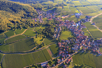 Vue aérienne de Vignobles du domaine viticole de Sankt Annaberg à Burrweiler dans le département Rhénanie-Palatinat, Allemagne