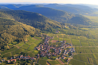 Vue aérienne de Village viticole du sud à Weyher in der Pfalz dans le département Rhénanie-Palatinat, Allemagne