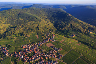 Vue aérienne de Oberdorf entre les vignes à Weyher in der Pfalz dans le département Rhénanie-Palatinat, Allemagne