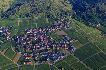 Vue aérienne de Vue d'ensemble du village depuis le sud-est à Weyher in der Pfalz dans le département Rhénanie-Palatinat, Allemagne