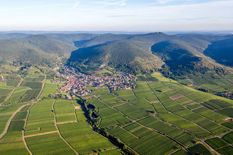 Vue aérienne de Village - Vue sur la lisière du Haardt de la forêt du Palatinat entre les vignes à le quartier SaintMartin in Sankt Martin dans le département Rhénanie-Palatinat, Allemagne