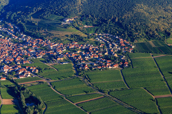 Vue aérienne de À Dörmel et à Bannholz à le quartier SaintMartin in Sankt Martin dans le département Rhénanie-Palatinat, Allemagne