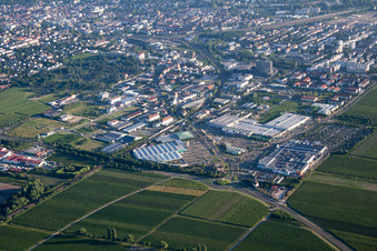 Vue aérienne de Globus Dehner à Neustadt an der Weinstraße dans le département Rhénanie-Palatinat, Allemagne