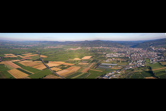 Vue aérienne de Panorama de l'A65 à SÜW à Neustadt an der Weinstraße dans le département Rhénanie-Palatinat, Allemagne