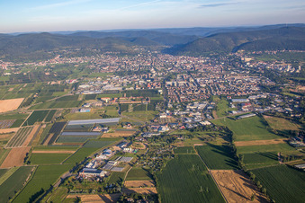 Neustadt an der Weinstraße dans le département Rhénanie-Palatinat, Allemagne vue d'en haut