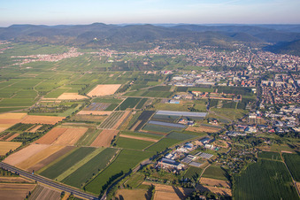 Neustadt an der Weinstraße dans le département Rhénanie-Palatinat, Allemagne depuis l'avion