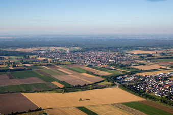 Vue aérienne de Quartier Iggelheim in Böhl-Iggelheim dans le département Rhénanie-Palatinat, Allemagne