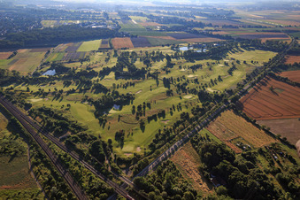 Vue aérienne de Terrain du parcours de golf Golfpark Kurpfalz à Schifferstadt dans le département Rhénanie-Palatinat, Allemagne