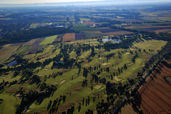Vue aérienne de Terrain du parcours de golf Golfpark Kurpfalz à Schifferstadt dans le département Rhénanie-Palatinat, Allemagne
