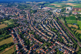 Vue aérienne de Mutterstadter Straße à Schifferstadt dans le département Rhénanie-Palatinat, Allemagne