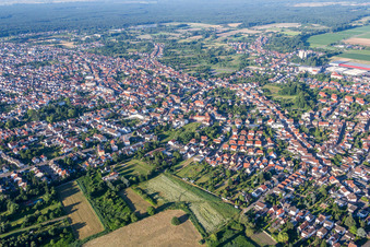 Vue aérienne de Zone urbaine avec périphérie et centre-ville à Schifferstadt dans le département Rhénanie-Palatinat, Allemagne