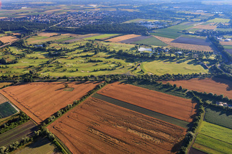 Photographie aérienne de Terrain du parcours de golf Golfpark Kurpfalz à Schifferstadt dans le département Rhénanie-Palatinat, Allemagne