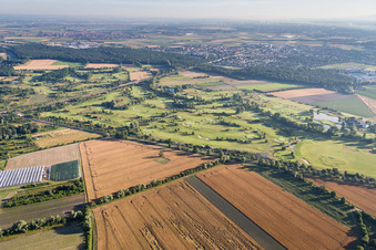 Photographie aérienne de Terrain du parcours de golf Kurpfalz à Limburgerhof à Schifferstadt dans le département Rhénanie-Palatinat, Allemagne