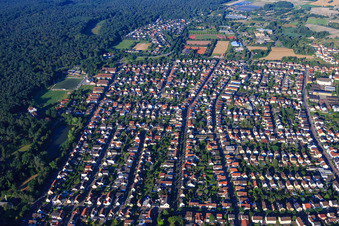 Vue aérienne de Ostring du nord-est à Schifferstadt dans le département Rhénanie-Palatinat, Allemagne