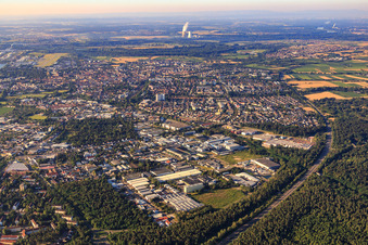 Vue aérienne de Zone industrielle Boschstraße avec Loeser GmbH - Niederberger Nibru à Speyer dans le département Rhénanie-Palatinat, Allemagne