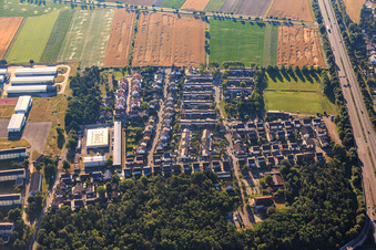 Vue aérienne de Sentier de l'argousier à le quartier Rinkenbergerhof in Speyer dans le département Rhénanie-Palatinat, Allemagne